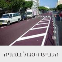 הכביש הסגול